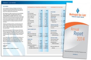 annual reports 8
